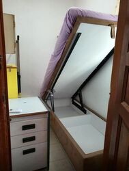 Ever Lodge (D14), Apartment #618797121